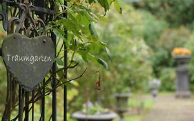 B&B Dressings Traumgarten